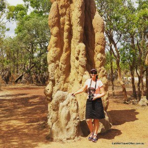 cathedral-termite-mound