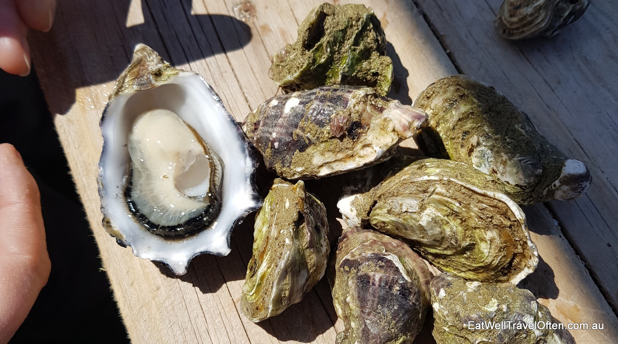 The best way to eat oysters