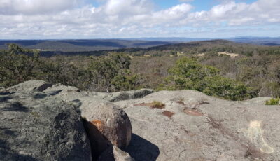 Looking down over stanthorpe from the hilltop