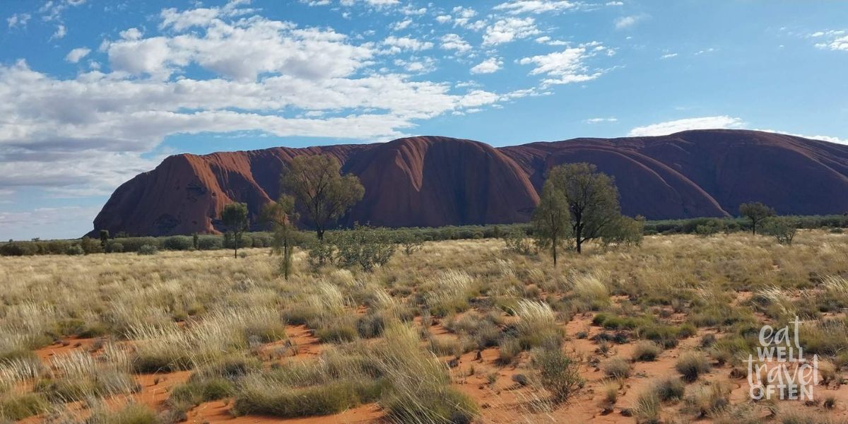 Blue sky and grassy green foreground with majestic Uluru in the middle